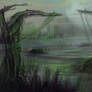 swamp