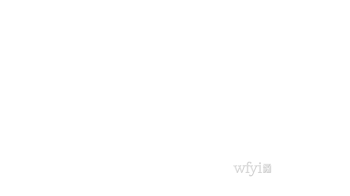 Wikokiko Screen Bug Wfyi Pbs On Screen Bug Template 2008 2016 By Adr by 24patej on DeviantArt