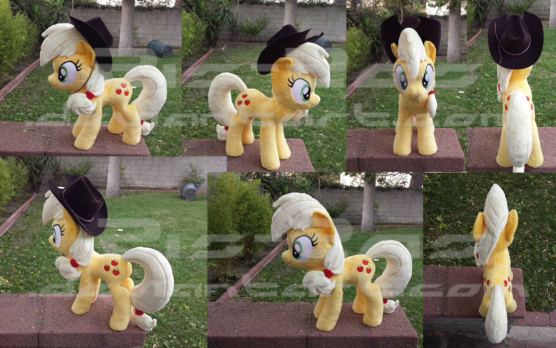 Applejack Multiple Views