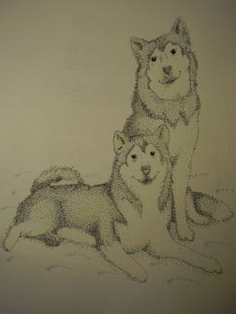 Malamuts