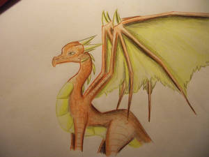 Random Dragon 2