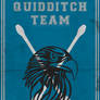Quidditch Team Poster: Ravenclaw