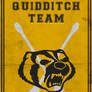 Quidditch Team Poster: Hufflepuff