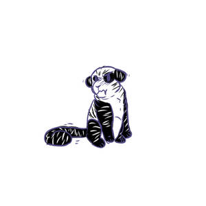 Angery Panda-tiger