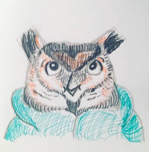 Caleb the Owl