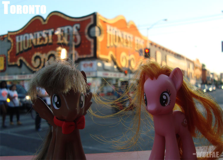 Honest Ed's - Toronto