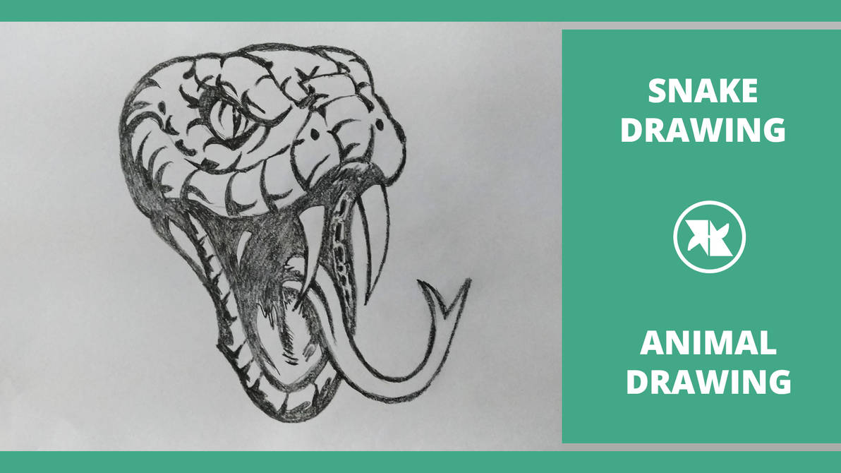 How to Draw a Realistic Snake by mlspcart on DeviantArt
