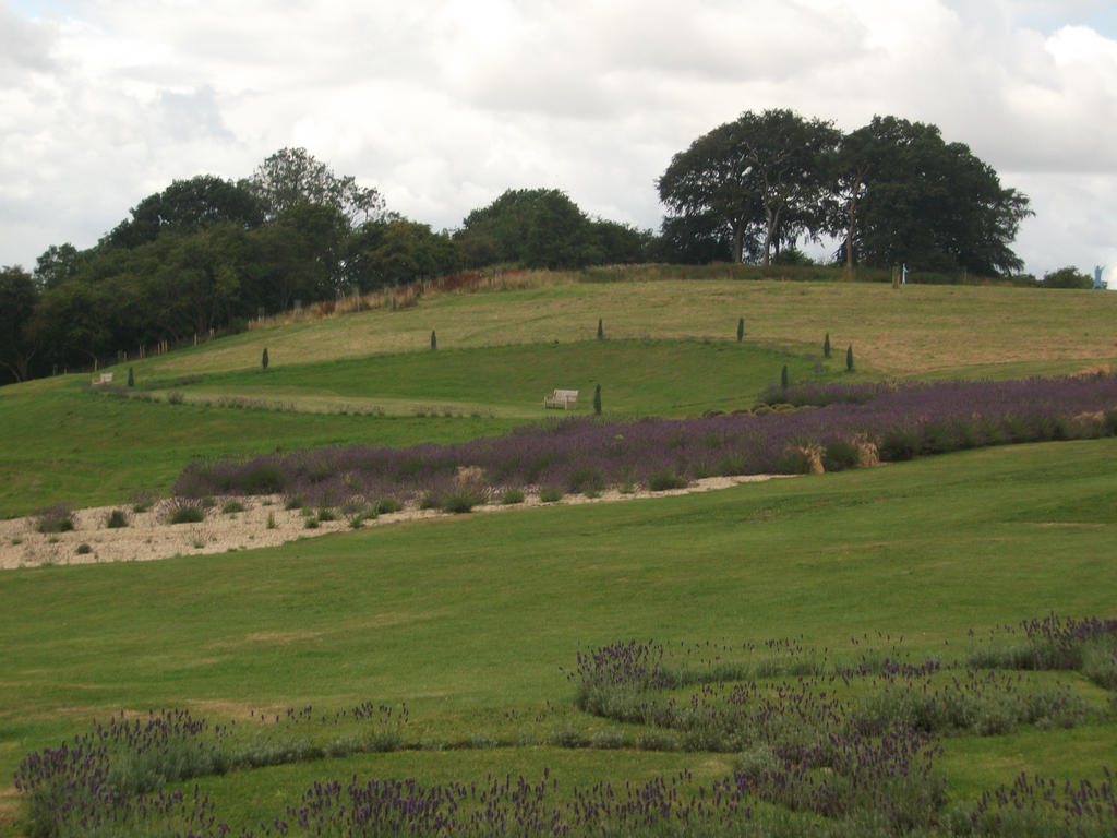 Lavender Garden