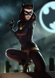 Vintage Catwoman by velsen