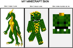 Minecraft Problems