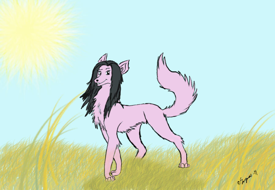 Pink Wolf - Sandy by Rewish on DeviantArt