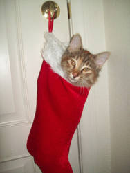 Christmas stocking 2