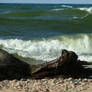 Waves and a log