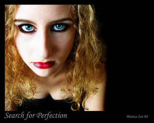 Search for Perfection