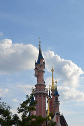 Sleeping Beauty's Castle