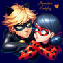 Miraculous ladybug : chat noir and ladybug 