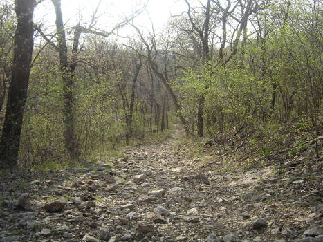 Rocky Outcropping