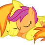 Spitfire and Scootaloo