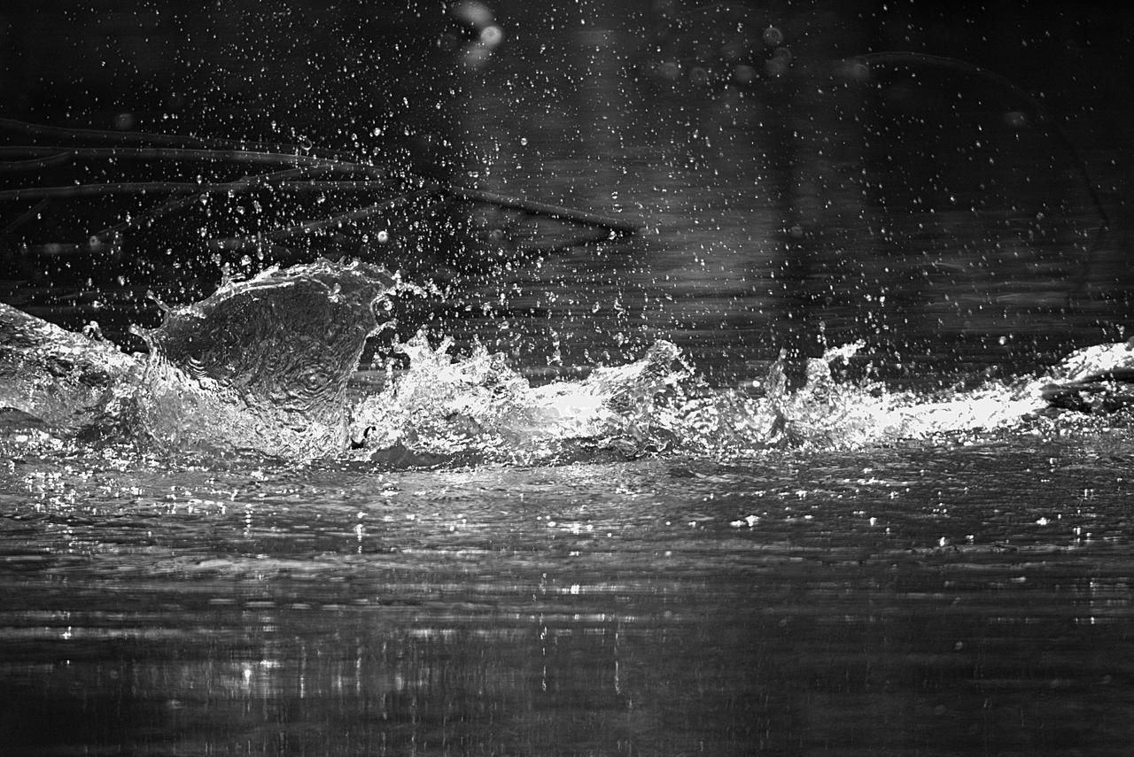 Missed opportunity by Odomas on DeviantArt