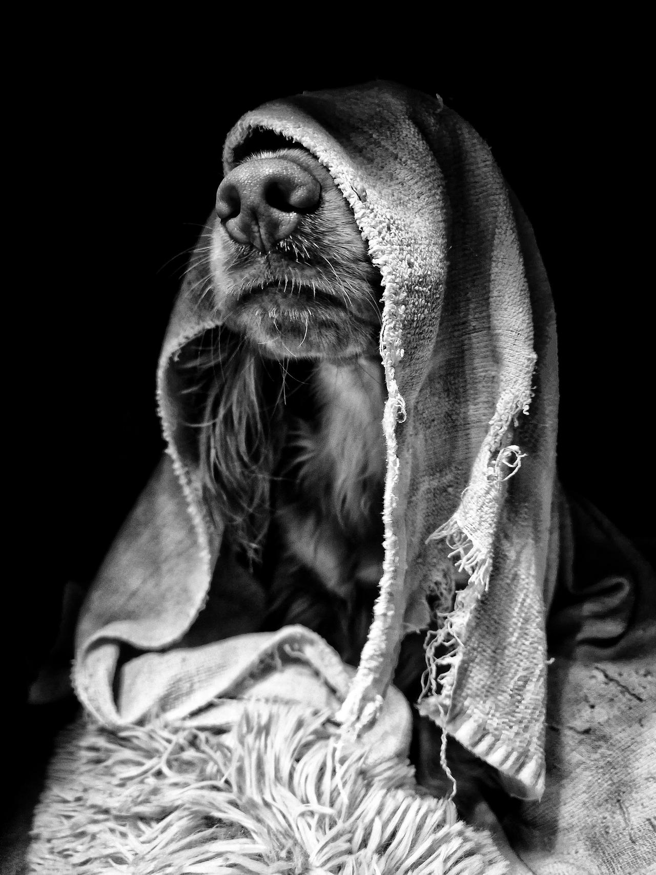 There Is A Great Disturbance In The Force By Odomas On DeviantArt