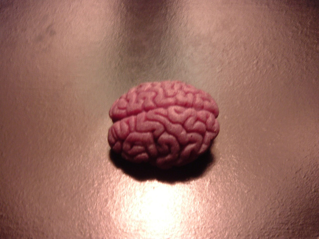 Brain