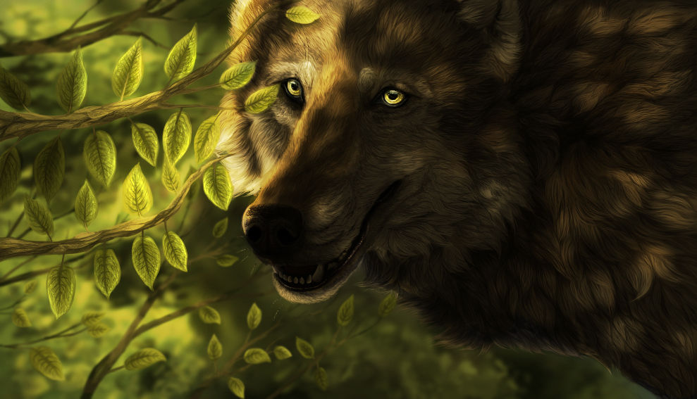 Wolf Portrait 2014 by Koahara