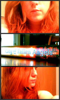 City of Fallen Angels