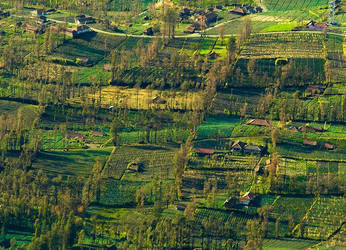 Bromo's Farm