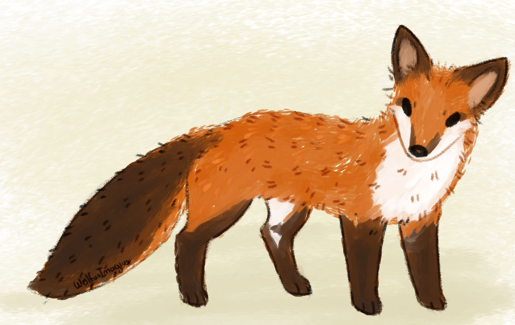 Fox Character Deviantart Fox by WolfusImagius on DeviantArt