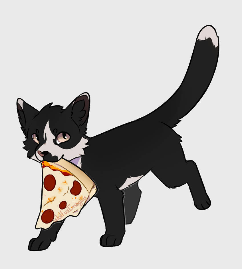 [Novempurr] Pizza thief