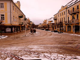 Vibes of the winter in Frantiskovy Lazne