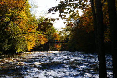 Autumn River