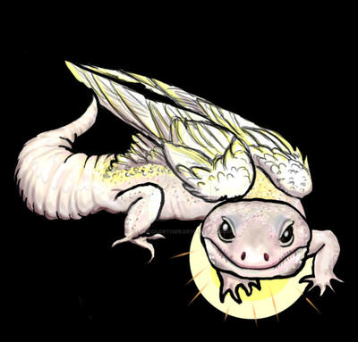 Fallen Angel Gecko - Mack Snow