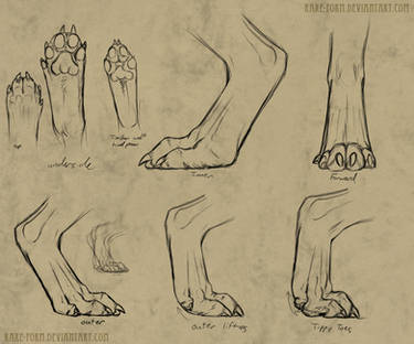 Werewolf Paw Reference