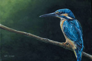 Kingfisher IV