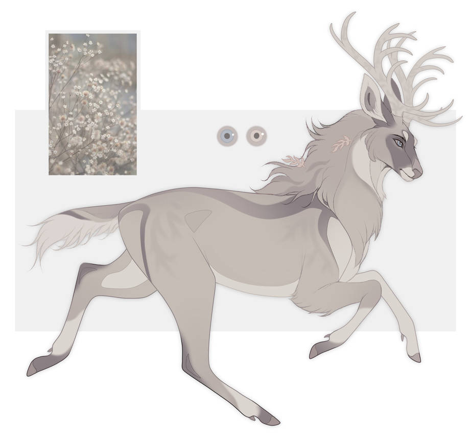 buck adopt by saint-alicia on DeviantArt