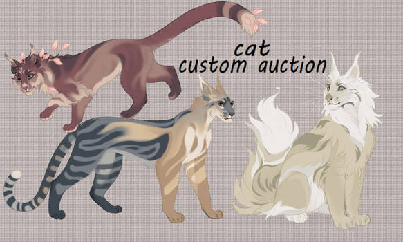 cat custom design auction