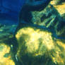 Golden Corals