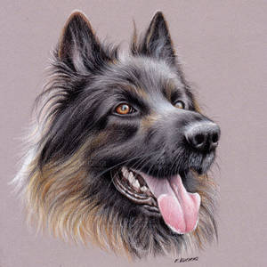 Happy Shepherd by EwelinaKuczera Happy Shepherd by EwelinaKuczera