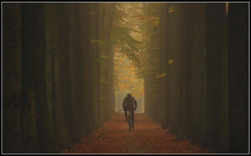 A November cyclist