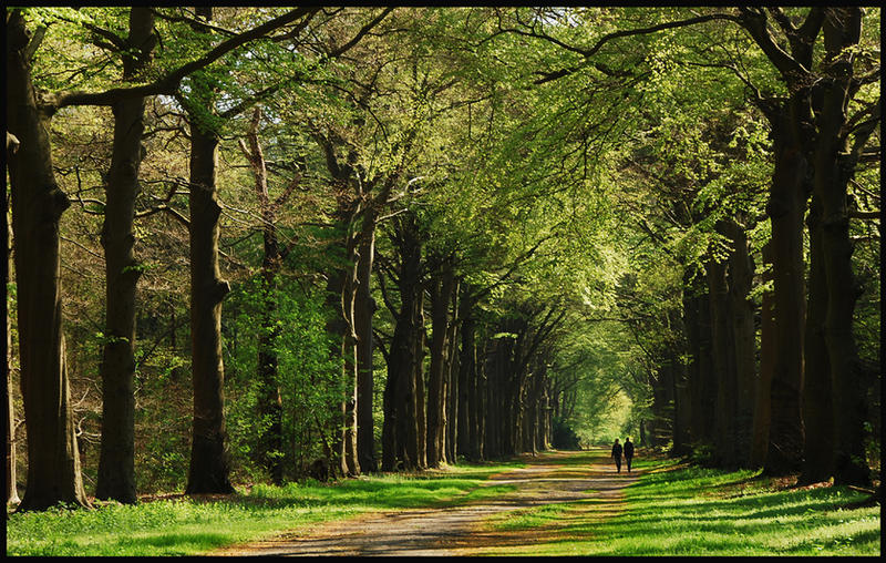 More spring lane walking by Esperimenti on DeviantArt