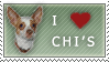 I Love Chihuahua's by DwayneF