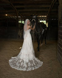 Bride and Her Horse