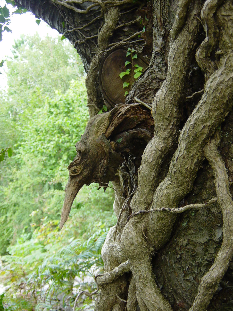 tree goblin 2