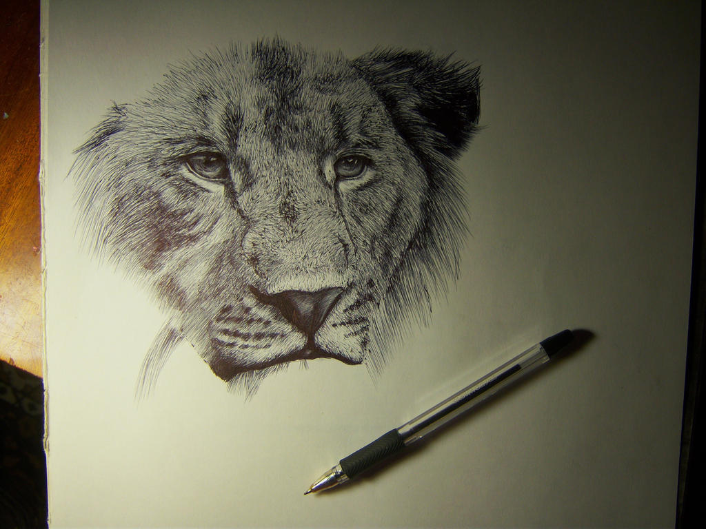 Lion, in a process