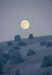 wintermoon 2