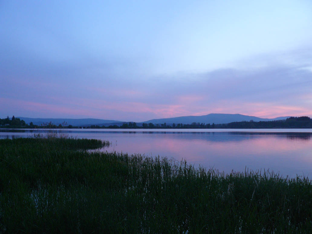 Silence by Valdkynd Silence by Valdkynd