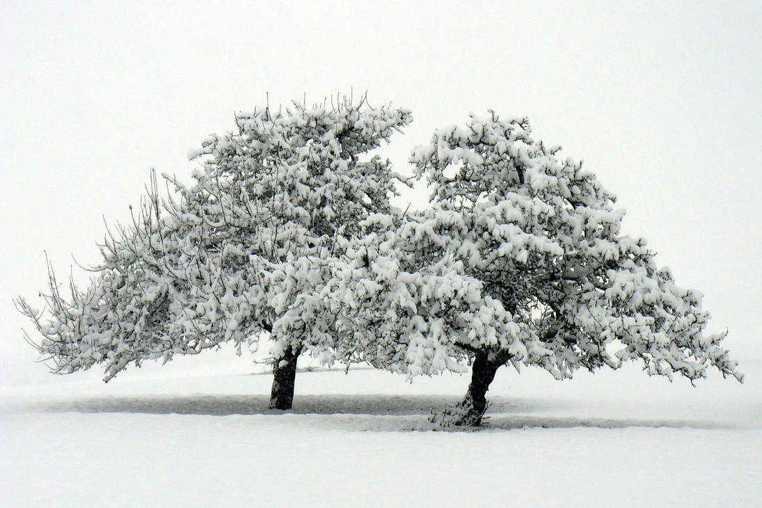 A Winterday or...The Couple by Valdkynd