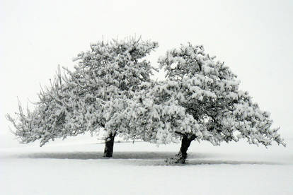 A Winterday or...The Couple