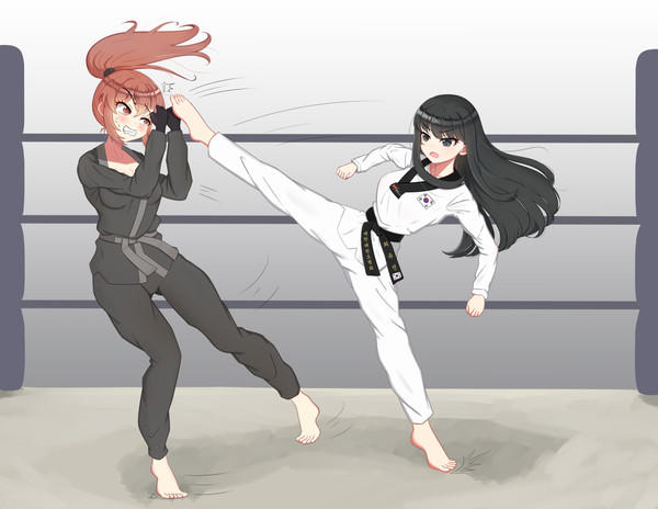 South Korean girl vs Belgian girl in karate by myduckdick on DeviantArt